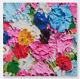 Damien Hirst H8-1 Fruitful Small Heni Limited Edition Print Sold Out Rainbow
