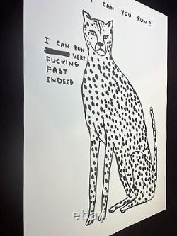 David Shrigley Limited Edn Group Of (5) Posters Direct From Shrigshop Sold Out