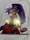 Gold Foil Art Book Of Shantae Exclusive Hardcover Sdcc Edition Udon Sold Out