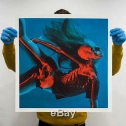 Insane51'Falling In' 3D Print Signed and Numbered with COA Sold out in Minutes