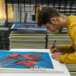 Insane51'Falling In' 3D Print Signed and Numbered with COA Sold out in Minutes
