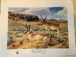 Leon Parson MIDDAY REPOSE S/N Limited Edition Print- Antelope-Sold Out #270