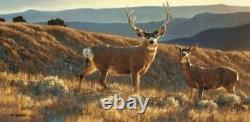 Nancy Glazier A Moment in Time S/N Mule Deer Art Print Sold Out 34 x 17