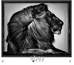 Original Artist Metal Print 24 x 30 CRINIÈRE DE LION Limited Ed. Sold Out