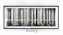 Pejac Linea (2016) Framed Sold out edition of 200 Lenticular print