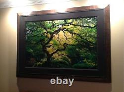 Peter Lik Inner Peace Limited Ed. 74/950 COA NEW IN BOX PREMIUM FRAMING SOLD OUT