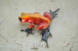 SHOW FROG OF AURORA CRACKER Bronze Frog By the Frogman Tim Cotterill SOLD OUT