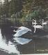Swans Ed Tussey Limited Edition Signed Art Print Sold Out Nos