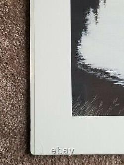 SWANS ED TUSSEY Limited Edition SIGNED Art Print SOLD OUT NOS
