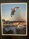 Scott Listfield Orca Astronaut Art Print Sold Out Edition Of 50 Antler Gallery