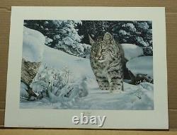 The Quest by Charles Frace Wildlife COA bobcat lynx Tennessee Artist Sold Out