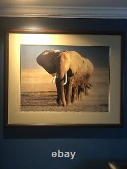 Thomas Mangelsen Amboseli Crossing-Print-SOLD OUT