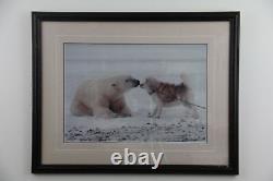 Thomas Mangelsen, signed, sold out, limited edition print Polar Kiss