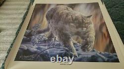 Vivi Crandall Very Rare Sold Out Signed and numbered Northern Lights
